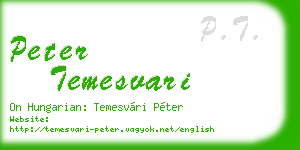 peter temesvari business card